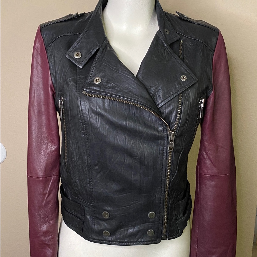 Walter Baker VIKKI Black Burgundy rocker Vintage Moto zip Leather Jacket S